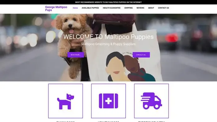 Screenshot of