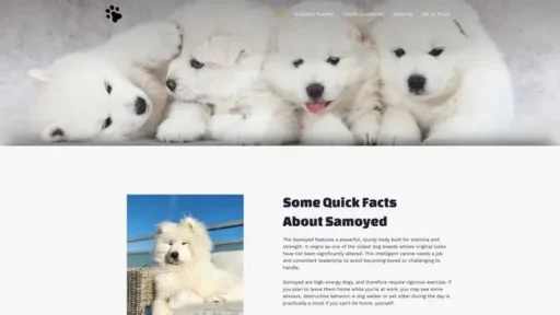 Screenshot of