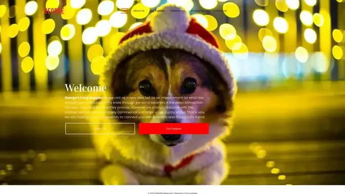 Screenshot of
