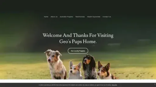 Screenshot of