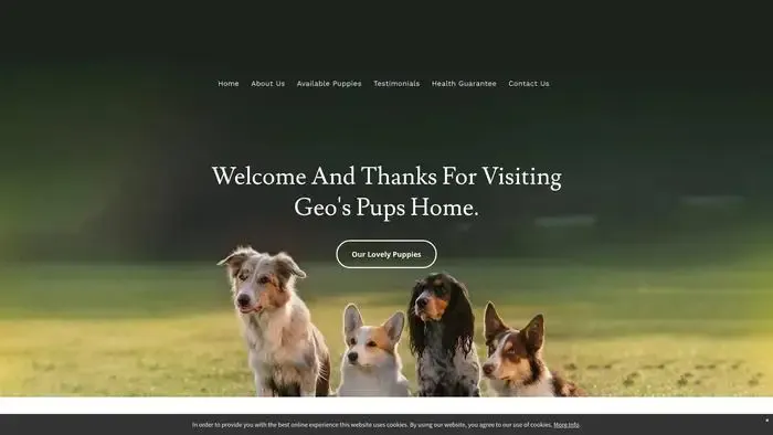 Screenshot of
