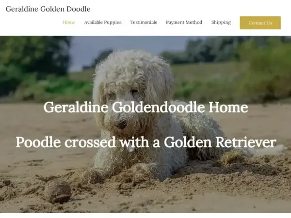 Screenshot of