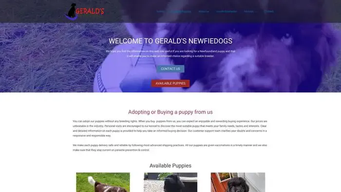 Screenshot of