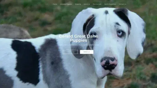 Screenshot of|