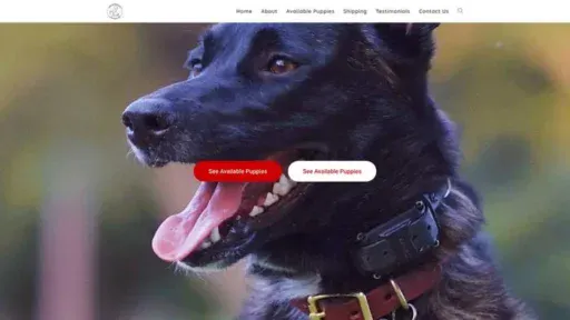 Screenshot of