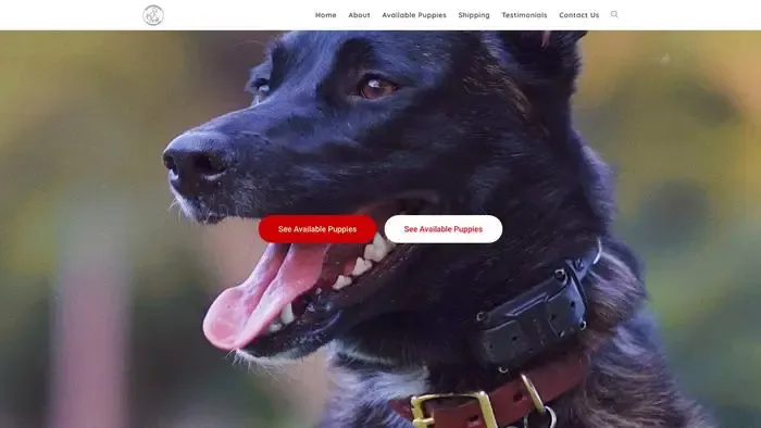Screenshot of