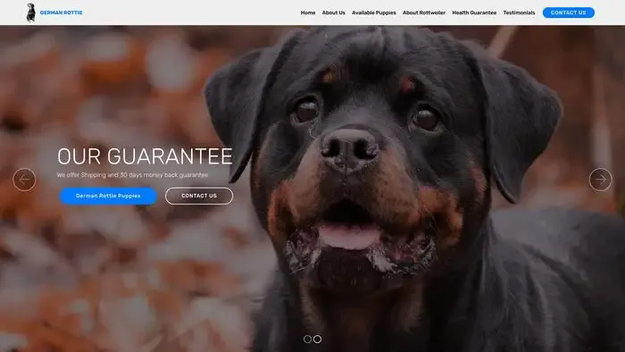 Screenshot of
