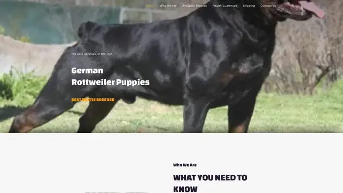 Screenshot of
