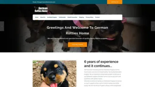 Screenshot of
