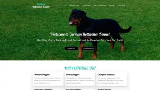 Screenshot of