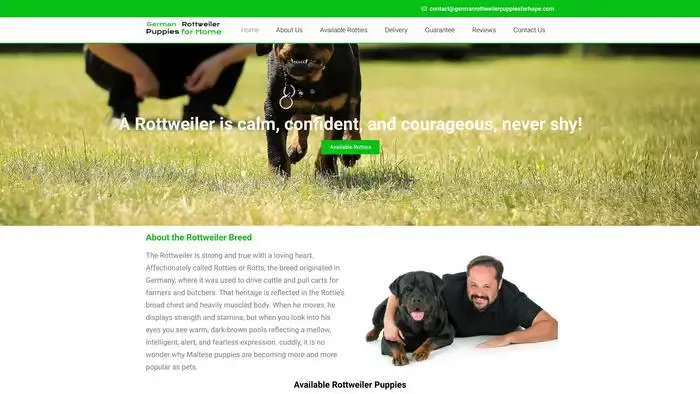 Screenshot of