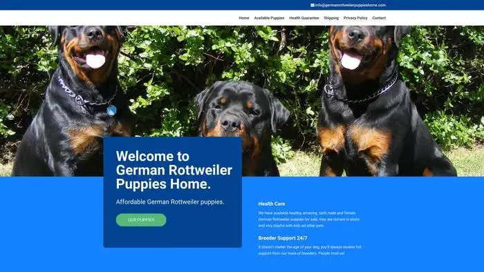 Screenshot of