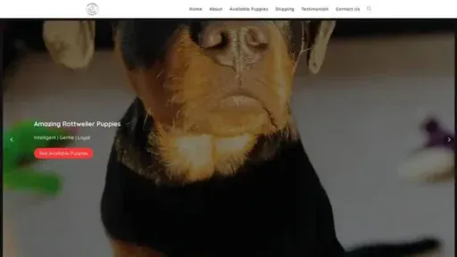 Screenshot of