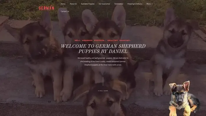 Screenshot of