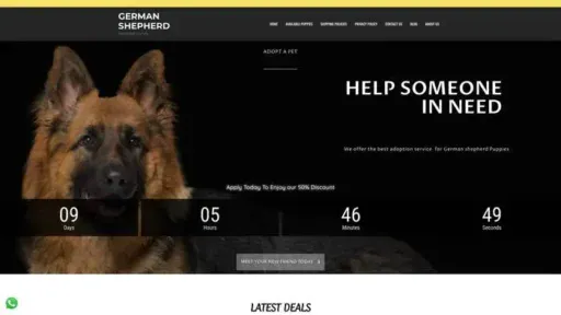 Screenshot of
