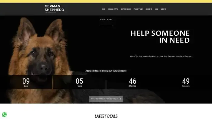 Screenshot of