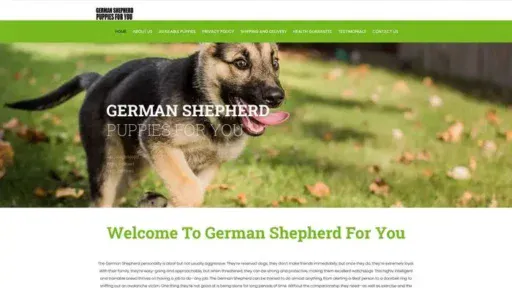 Screenshot of