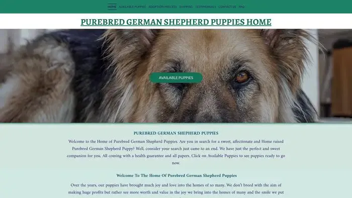 Screenshot of