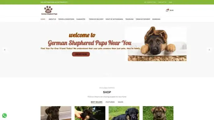 Screenshot of