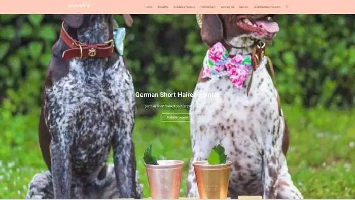 Screenshot of