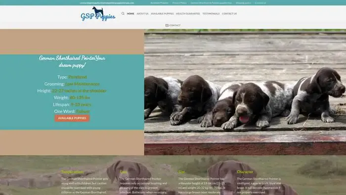 Screenshot of