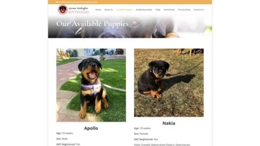 Screenshot of
