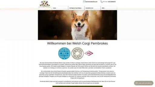 Screenshot of