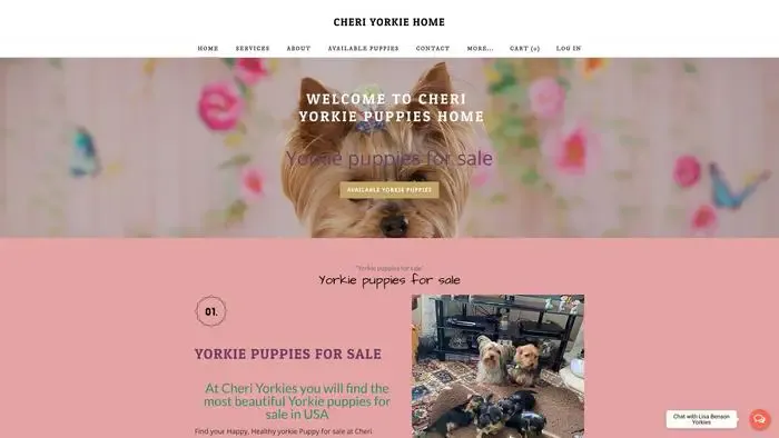 Screenshot of
