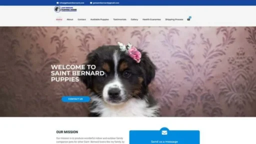 Screenshot of||