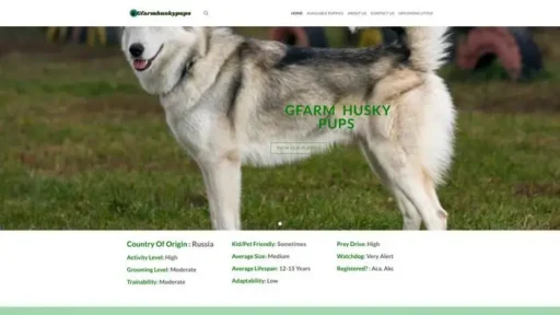 Screenshot of