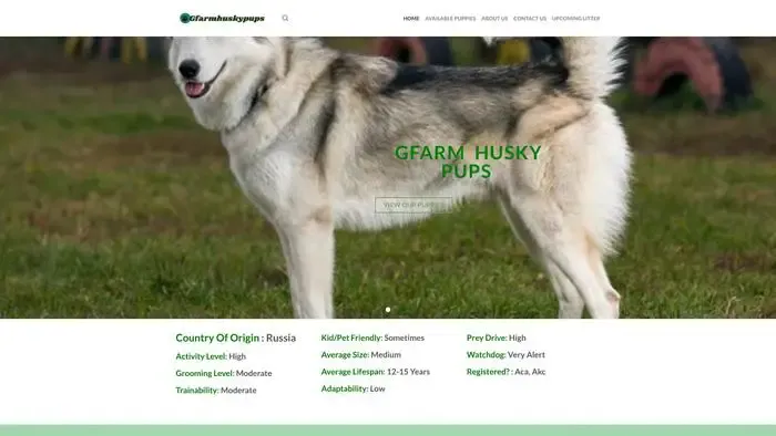 Screenshot of