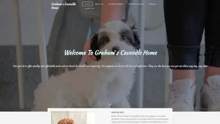 Screenshot of