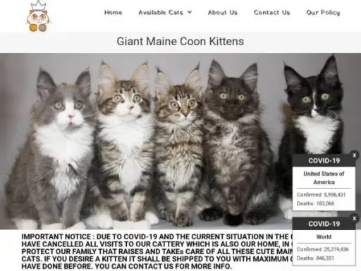 Screenshot of