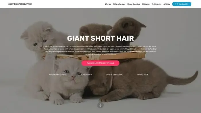 Screenshot of