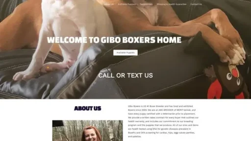 Screenshot of