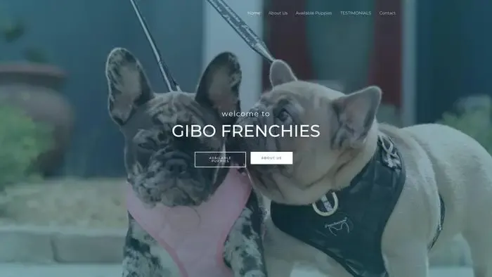 Screenshot of