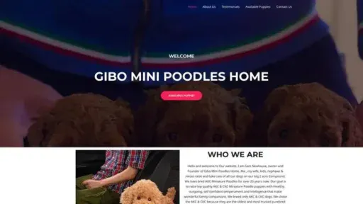 Screenshot of