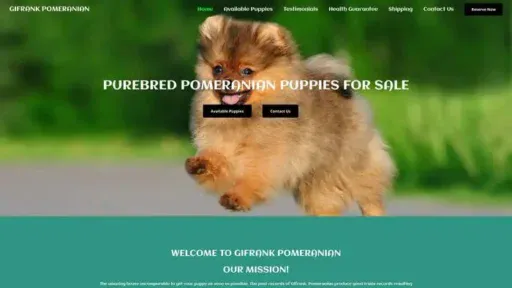 Screenshot of