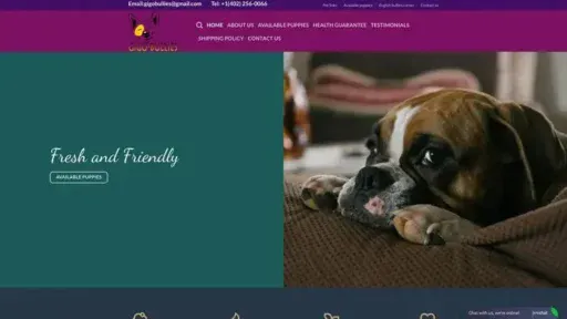 Screenshot of