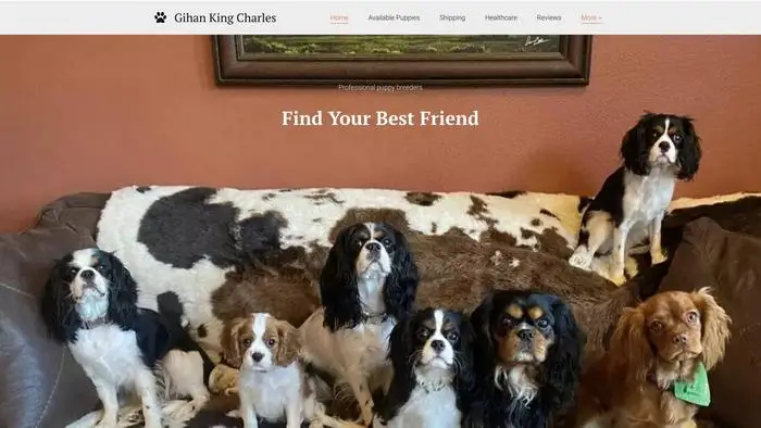 Screenshot of