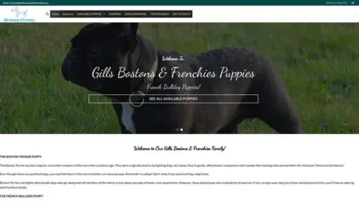 Screenshot of