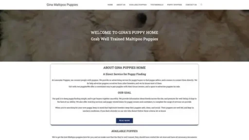Screenshot of