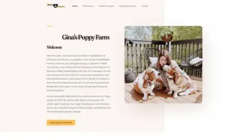 Screenshot of