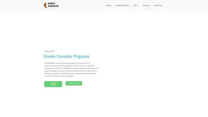 Screenshot of