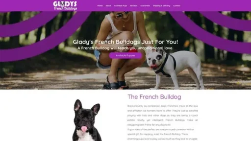 Screenshot of