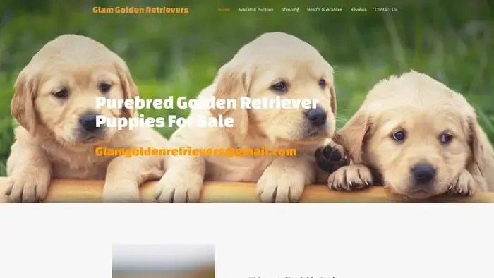 Screenshot of
