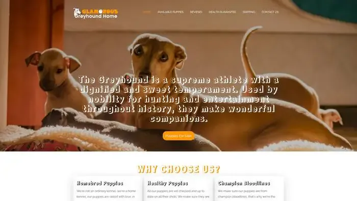 Screenshot of