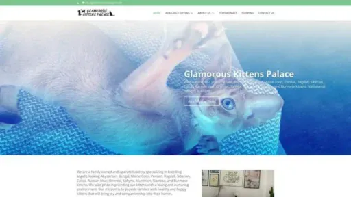 Screenshot of||