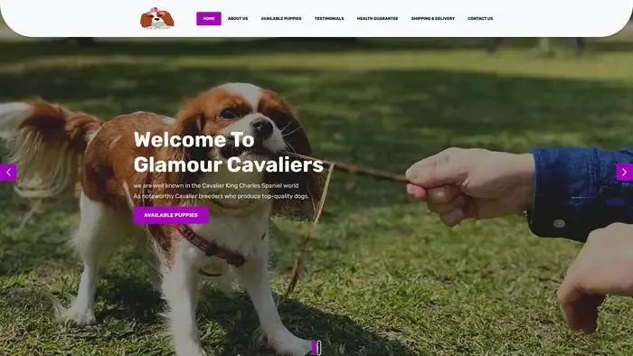 Screenshot of