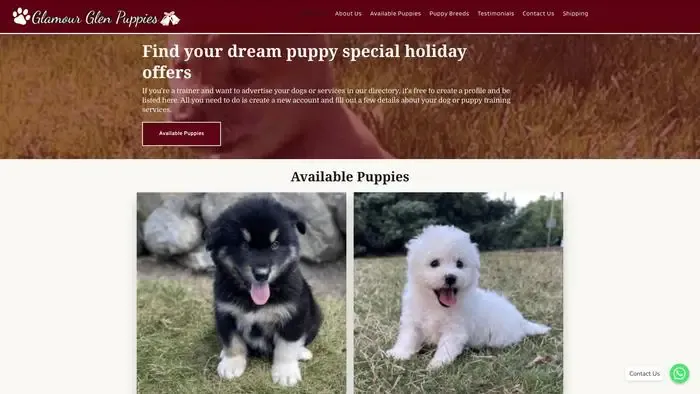 Screenshot of